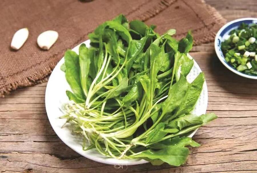 鏄ュぉ閲屼綋寮卞鐥呯殑浜轰笉鑳藉悆鍙戠墿,鏄ュ涓轰粈涔堜笉鑳藉悆鍙戠墿