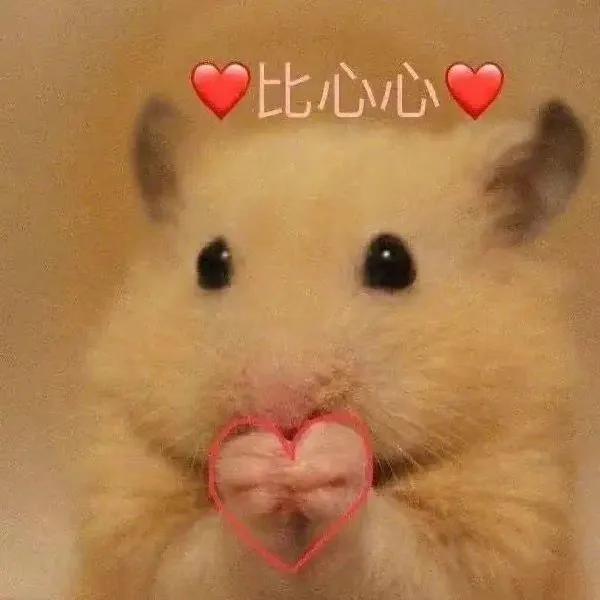 女生朋友圈高级背景图唯美气质,唯美背景图片高级感