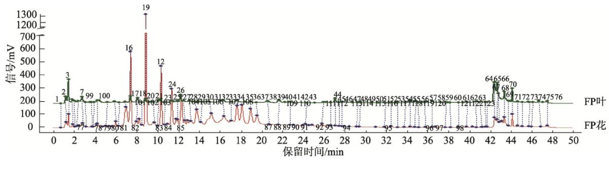金花茶具有六大器官吗,金花茶属于什么属性