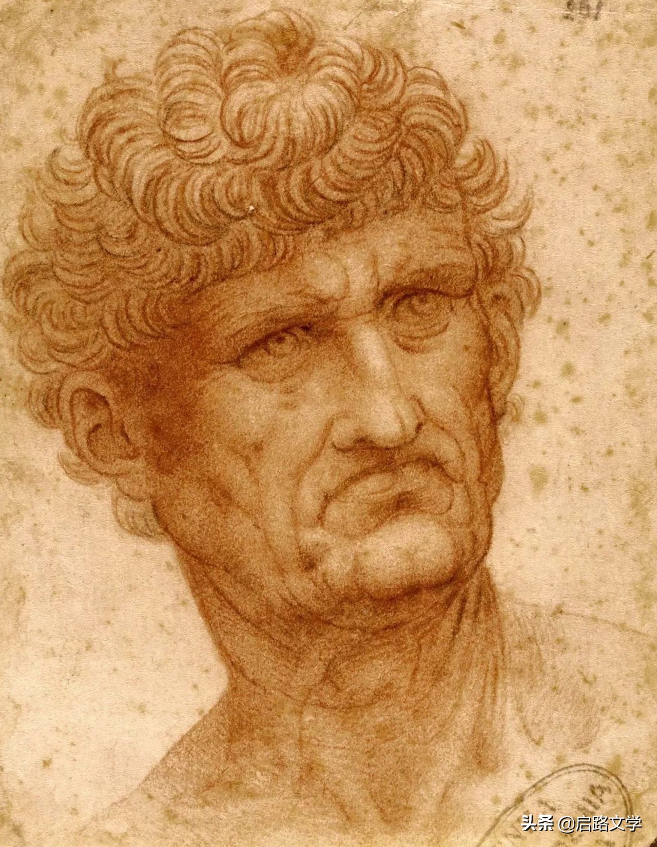 达芬奇经典语录短句正能量,达芬奇关于坚持的名言