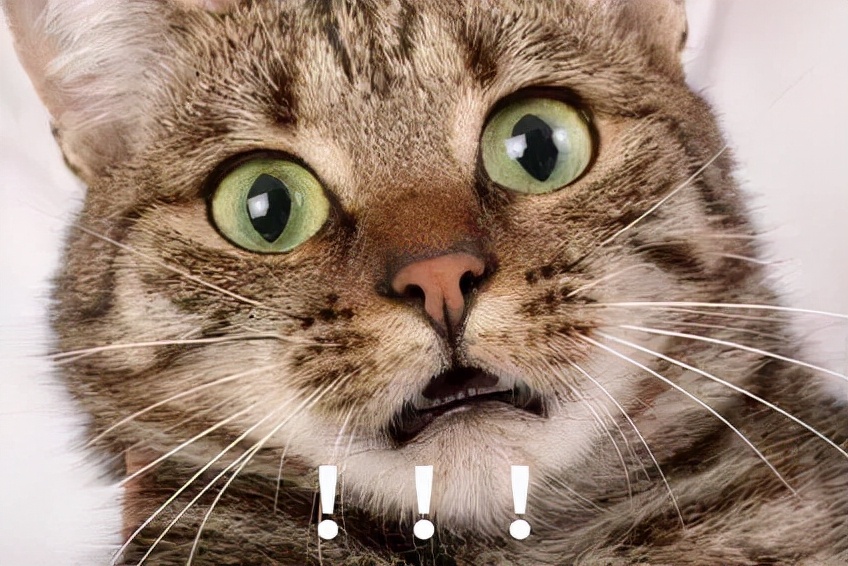 安宫牛黄丸真是起死回生的神药吗,安宫牛黄丸的保健功效和使用方法