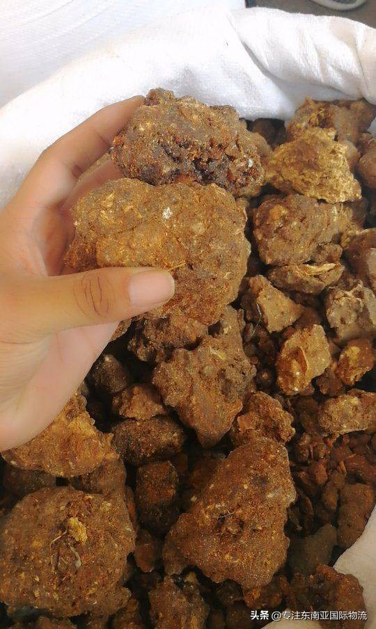 如何进口缅甸没药及清关