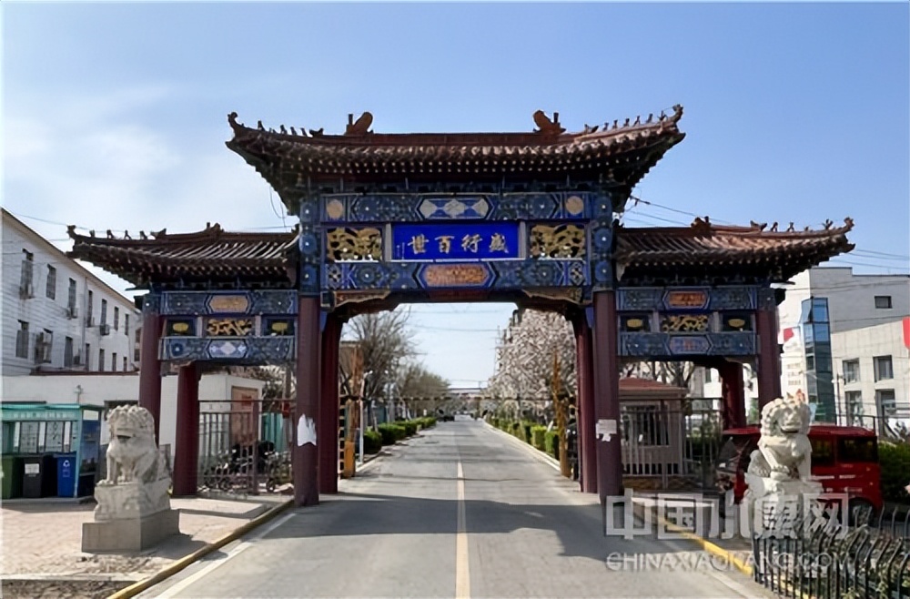 天津市乡村振兴典型案例,小村大事免费阅读