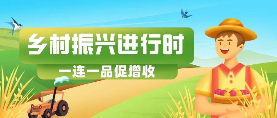 申杰醉打金枝,申杰升再创辉煌