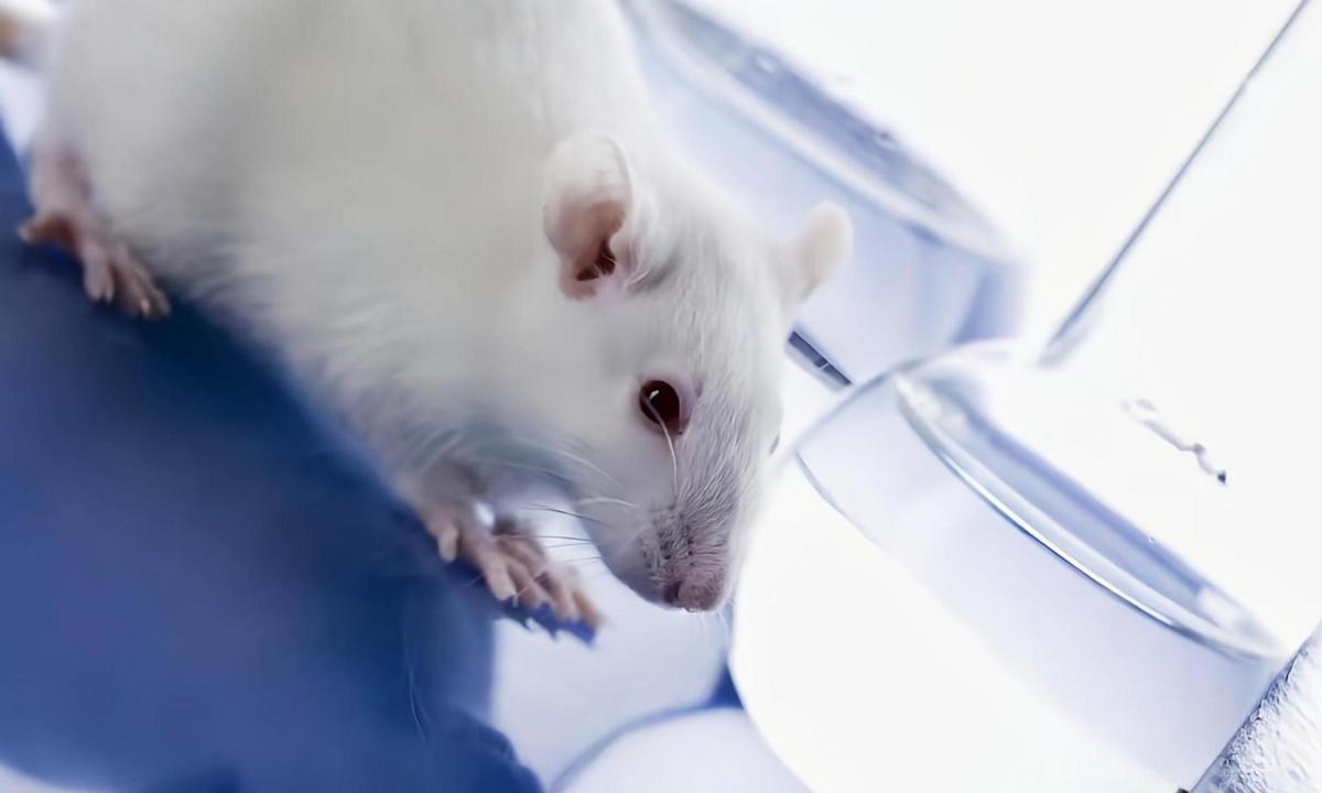 20天10万，吃住全包！50万医药“小白鼠”背后，是一群玩命的人