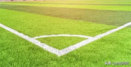 世界杯球场草皮是真的吗,足球场的草坪世界杯
