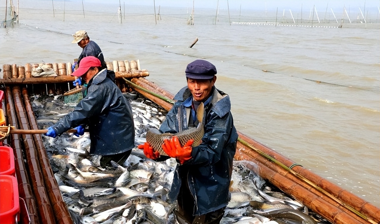 中国首位办手机号的人,中国第一位办手机号的人是谁