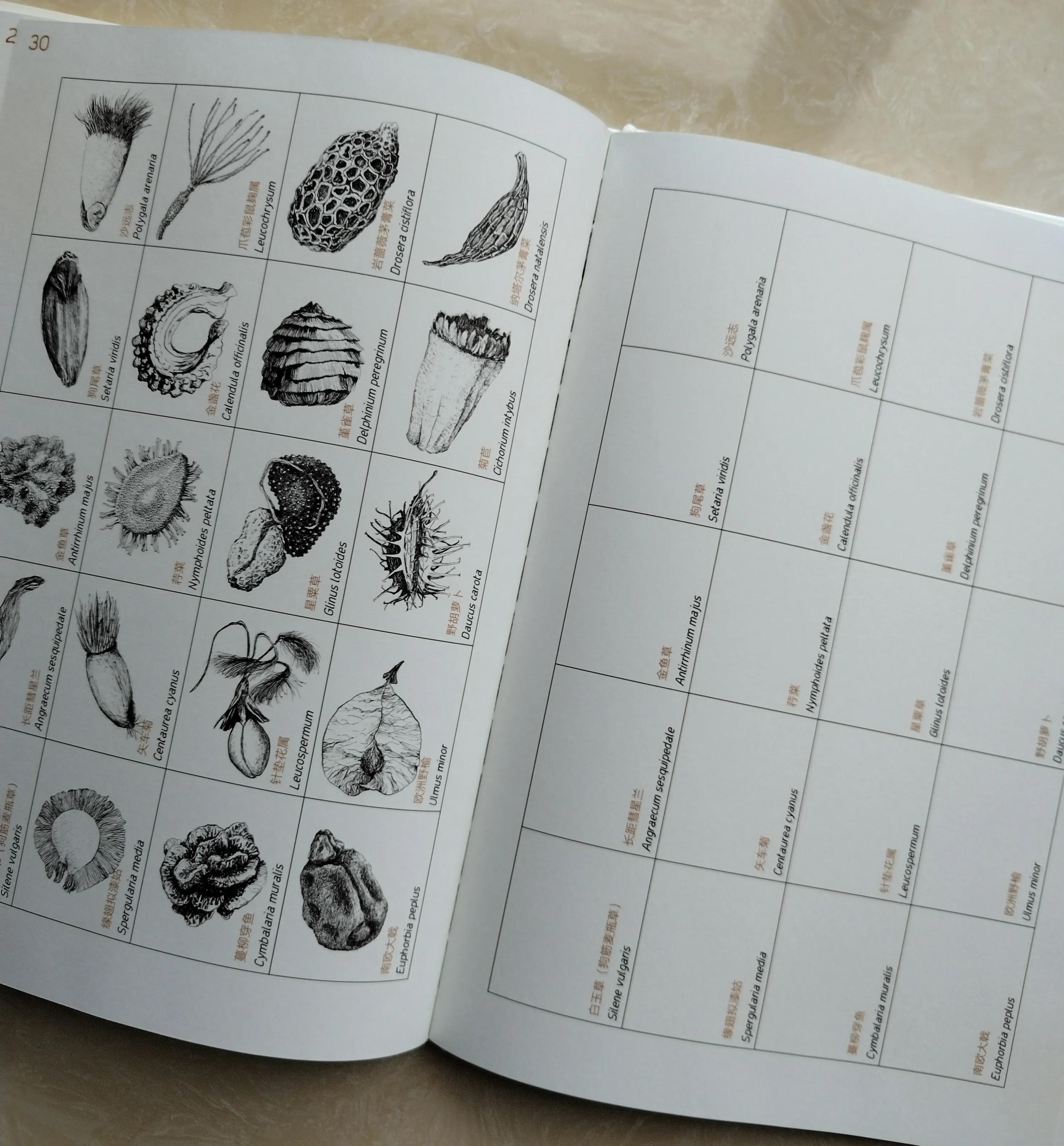 鎺㈢储鑷劧鐨勫ゥ绉樻劅鍙楃敓鍛界殑绁炲,鎴戜滑璧拌繘澶ц嚜鐒舵帰瀵荤敓鍛界殑婧愭硥