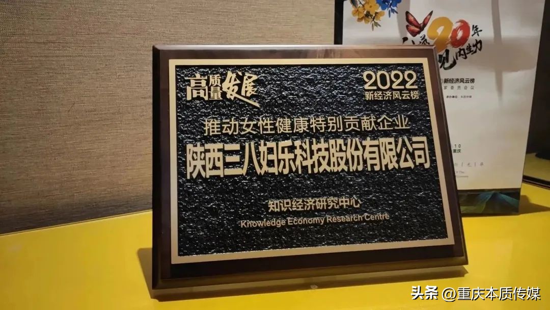 三八妇女表彰奖项,三八妇女特别贡献奖