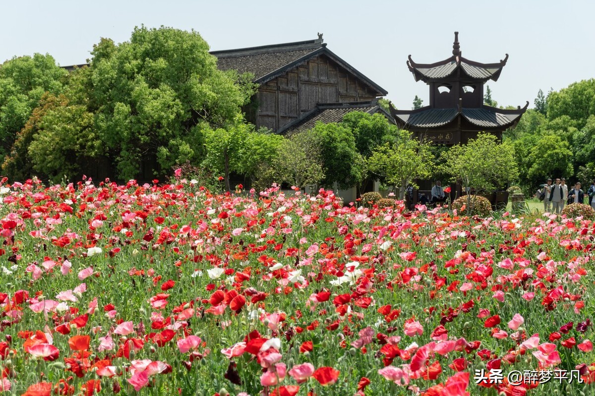 沙家浜风景区（江苏常熟市5A）