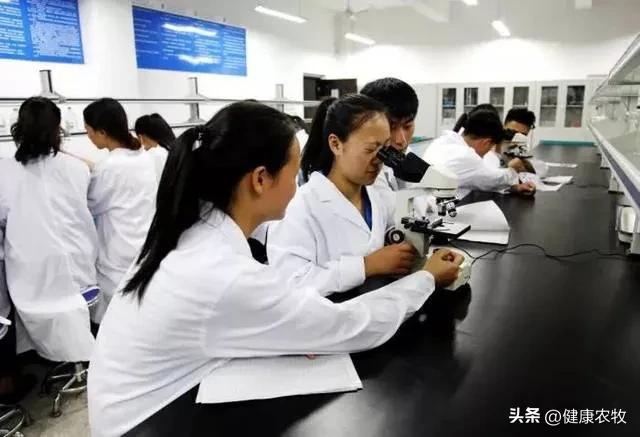 大学想报兽医专业新高考怎么选科,新高考文科可以学兽医专业吗