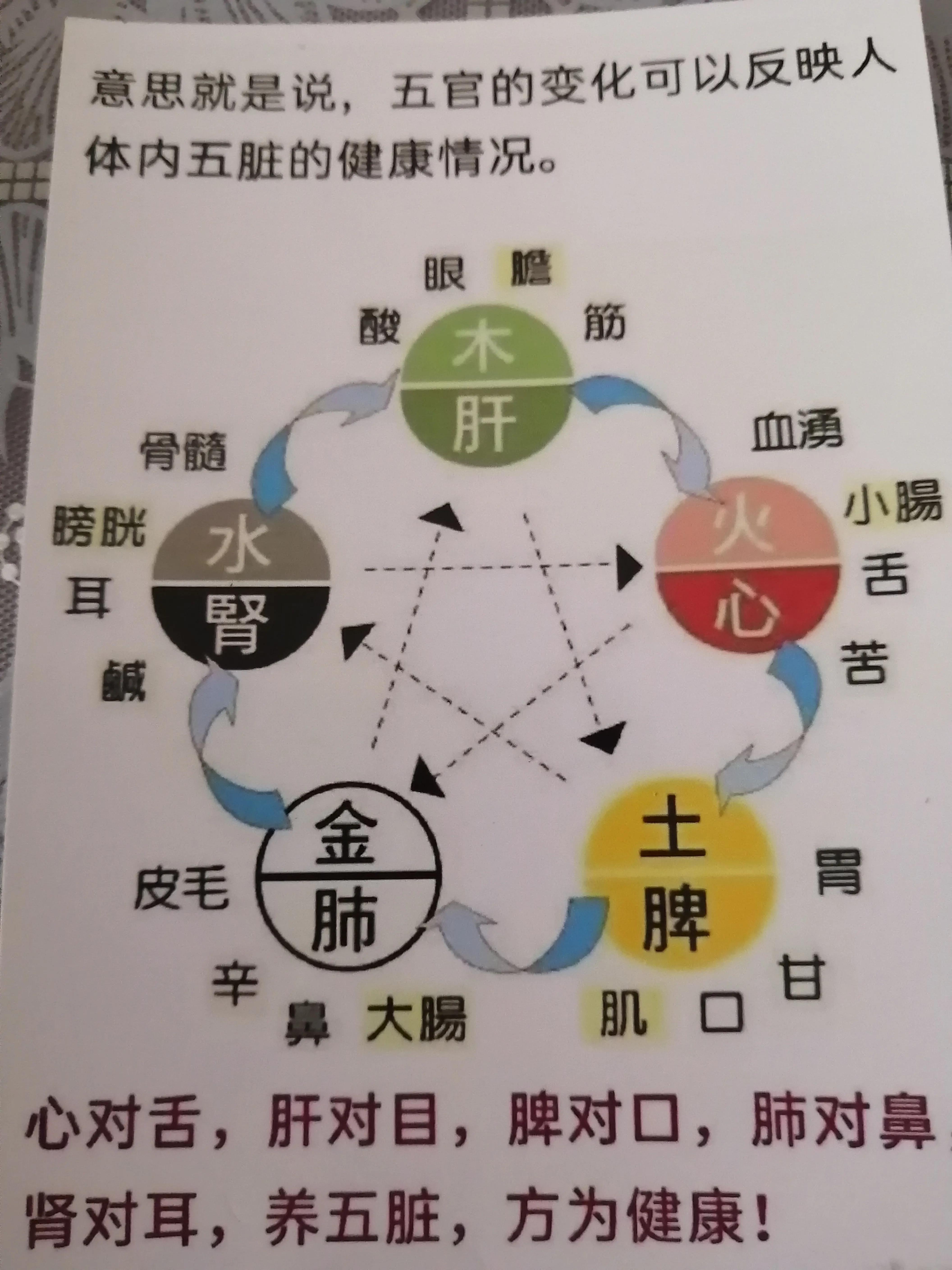 多关心自己五脏六腑,一个人的五脏六腑