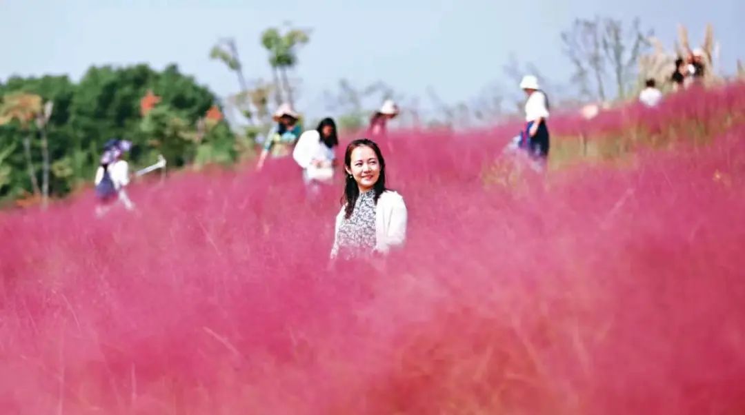 一座“追光”之城背后的软实力
