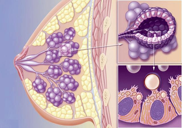 乳头出现溢液的发生率这么高，你意识到了吗？
