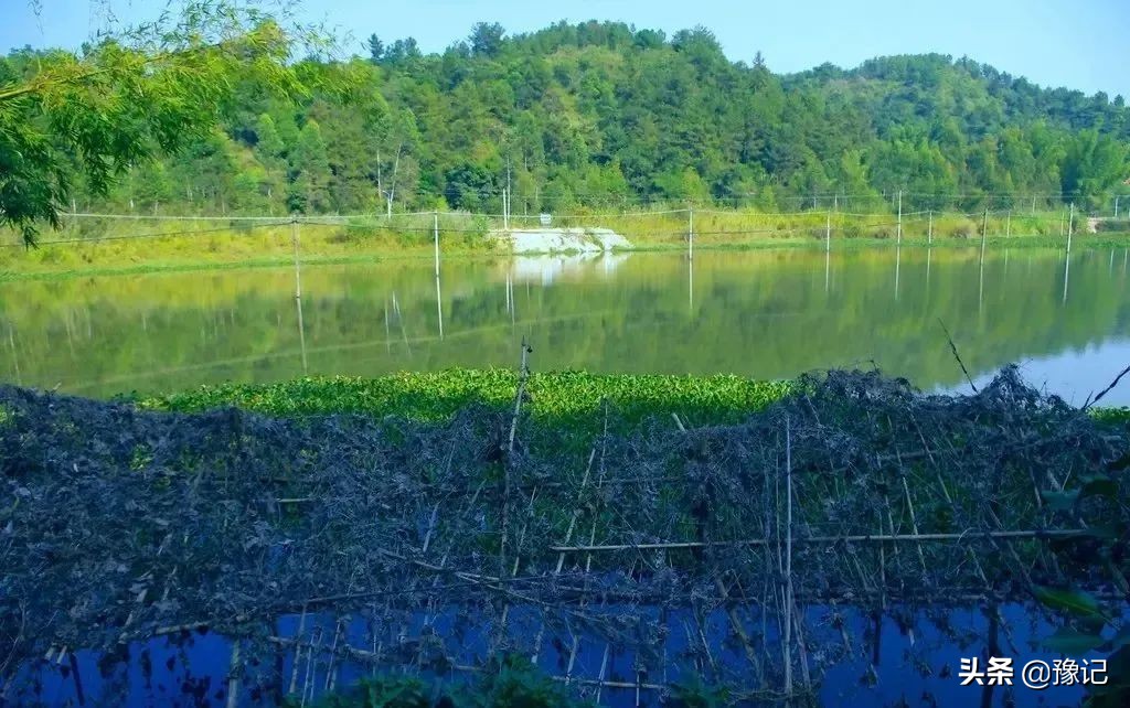信阳人家家都有的tang，河南好多地方都没了