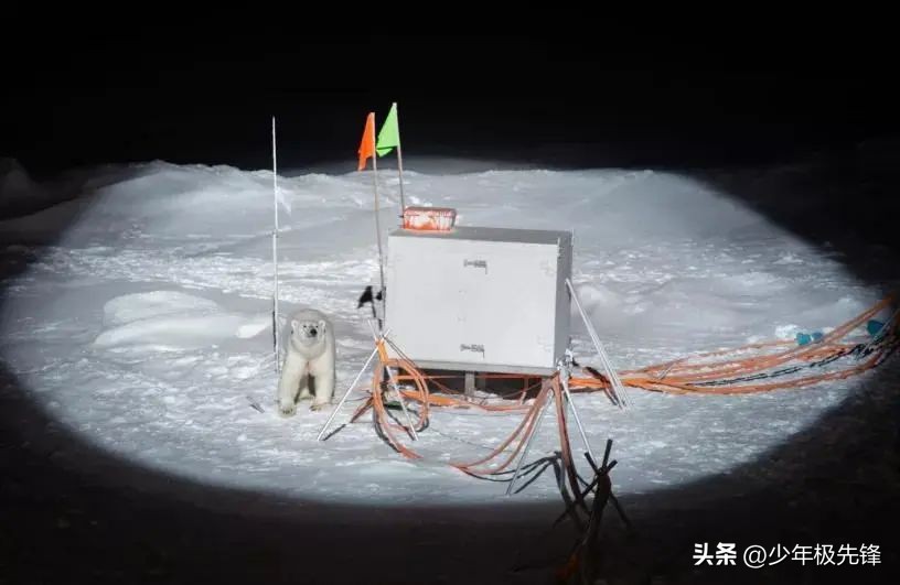 389天的极地冰冻科考,300多名科学家上演现实版的“流浪地球”