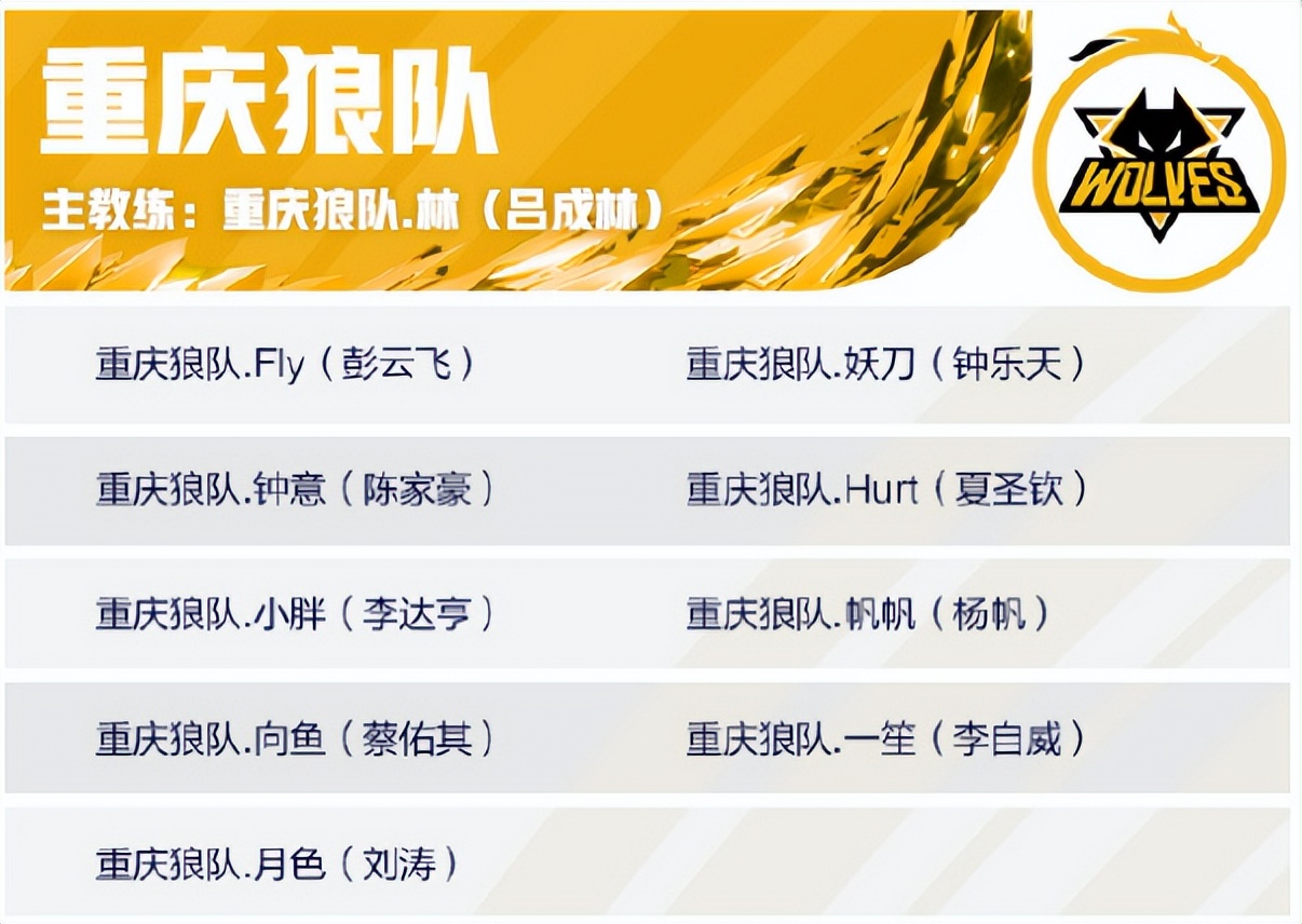 kpl春季总决赛小胖拿了哪些英雄,ksg公布kpl夏季赛大名单