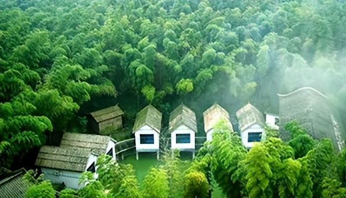 林海山水画作品欣赏,国内十大竹海排名