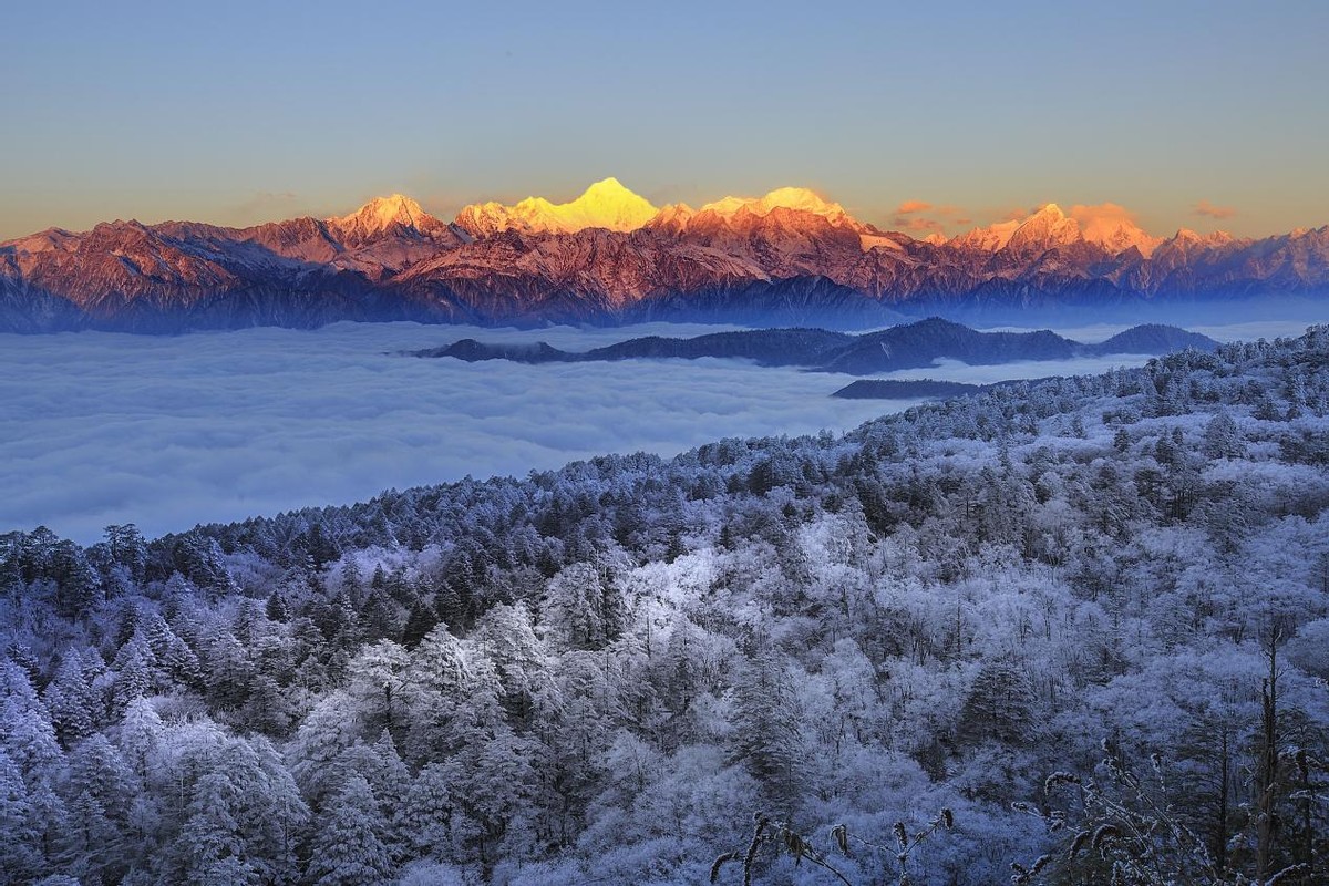 金山照耀“贡”贺新禧——来王岗坪过幸“虎”年