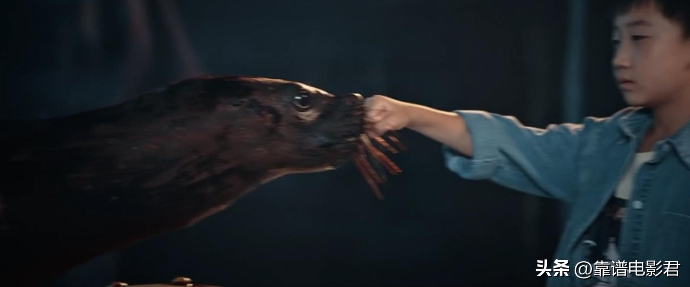 拍过烂片的女演员,拍了很多烂片的女演员