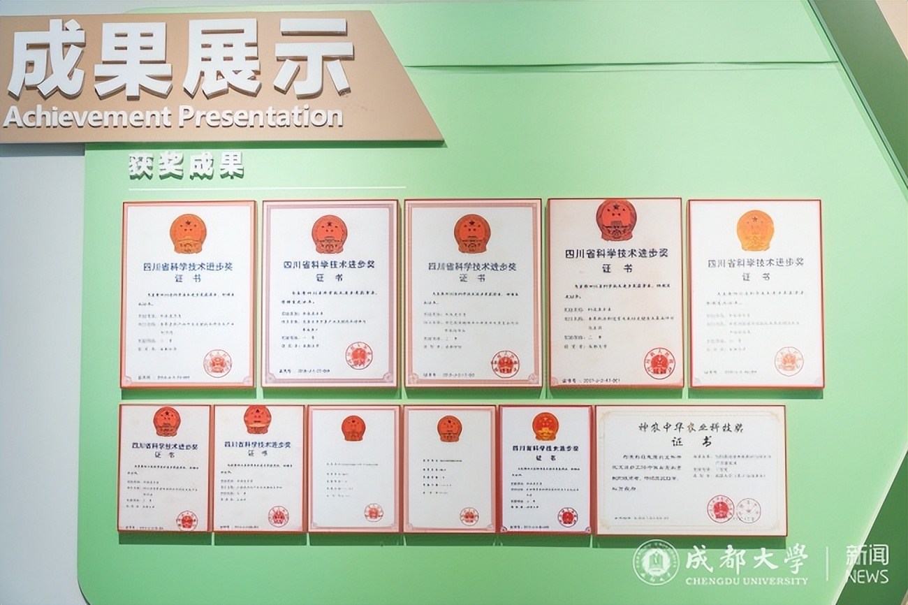 依托杂粮加工项目延长农业产业链,国家农业部杂粮加工重点实验室