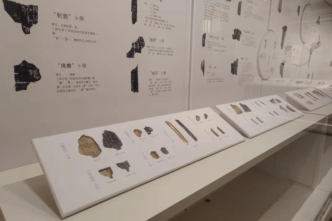 古人驰骋猎场全靠张弓射箭吗？来看看商朝的田猎之方