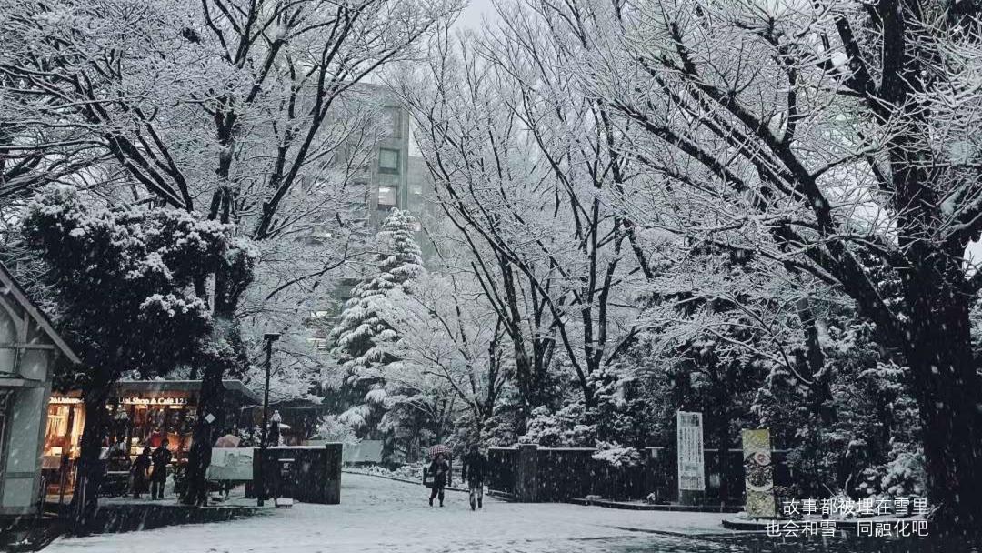 这摄影师是个抓拍鬼才|冷段子2068