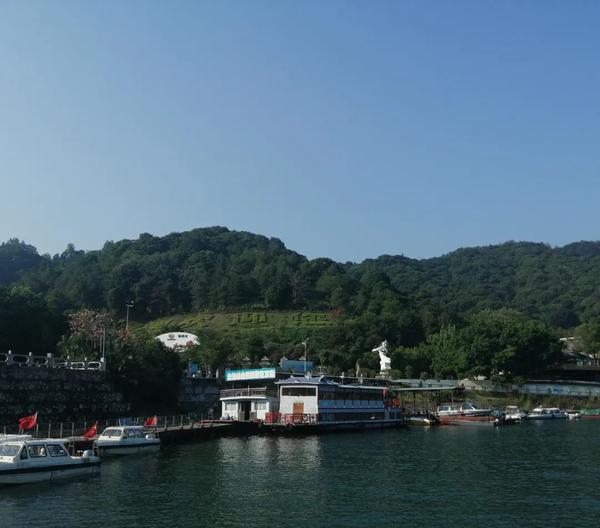 探秘广东河源万绿湖：暴雨洗礼后的生态奇观