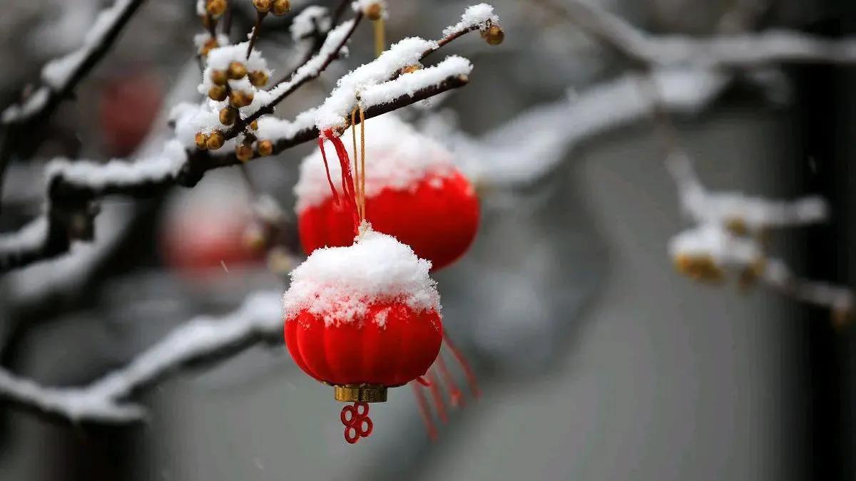 随笔：盲目囤药就是蠢