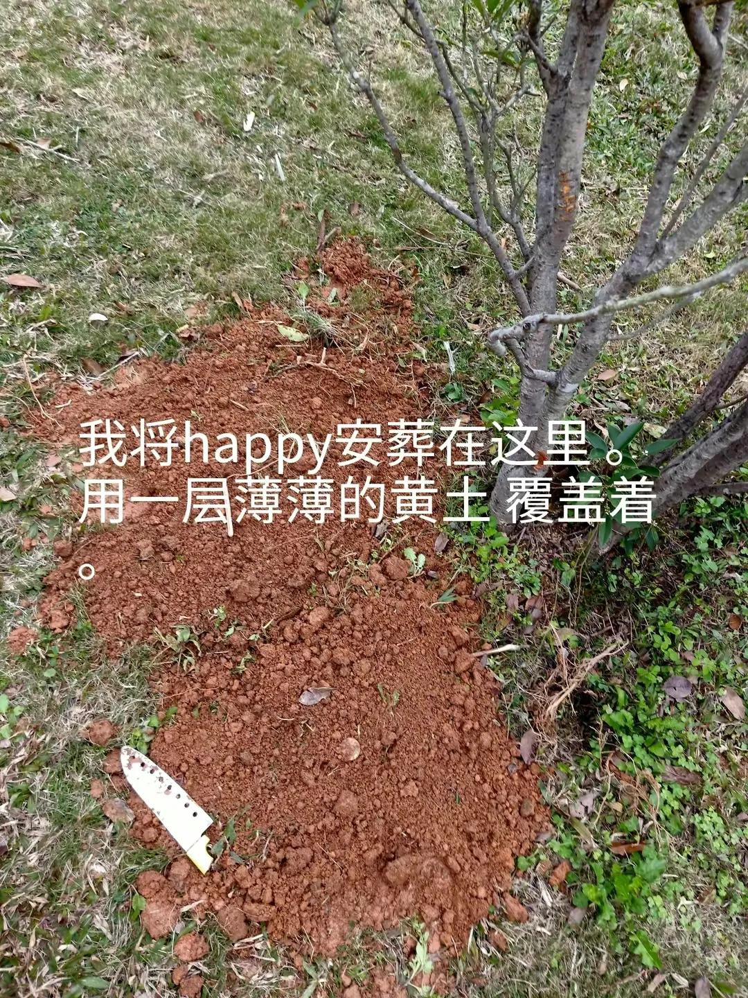 happy鎴戠殑濂冲鎻掓洸,浣爃appy鎴戜篃happy