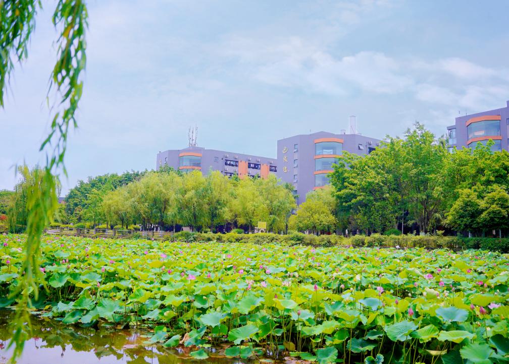 互联网热门专业就业火爆,互联网时代学什么专业就业好