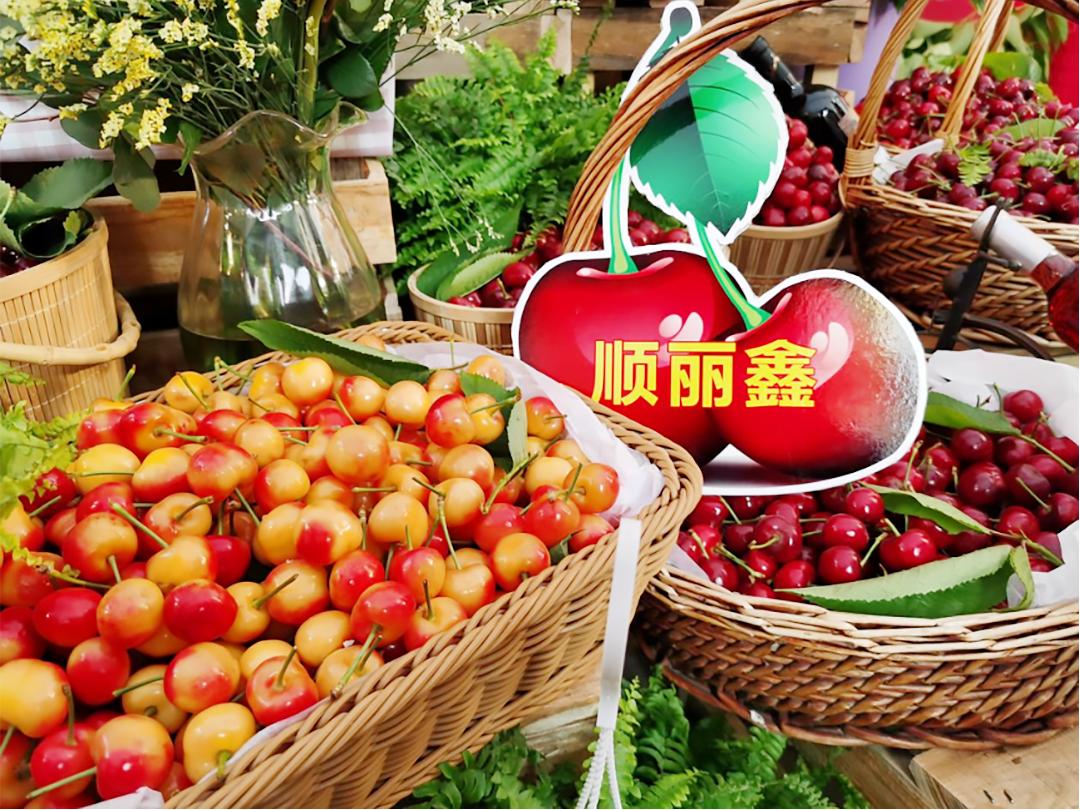 顺义喜邦樱桃采摘园,顺义千亩樱桃采摘园视频