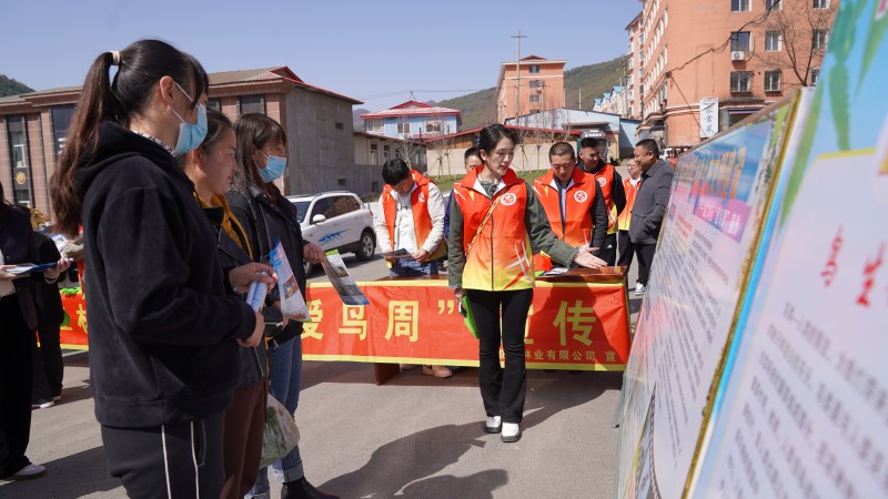 爱鸟周宣传标语大全,爱鸟周宣传