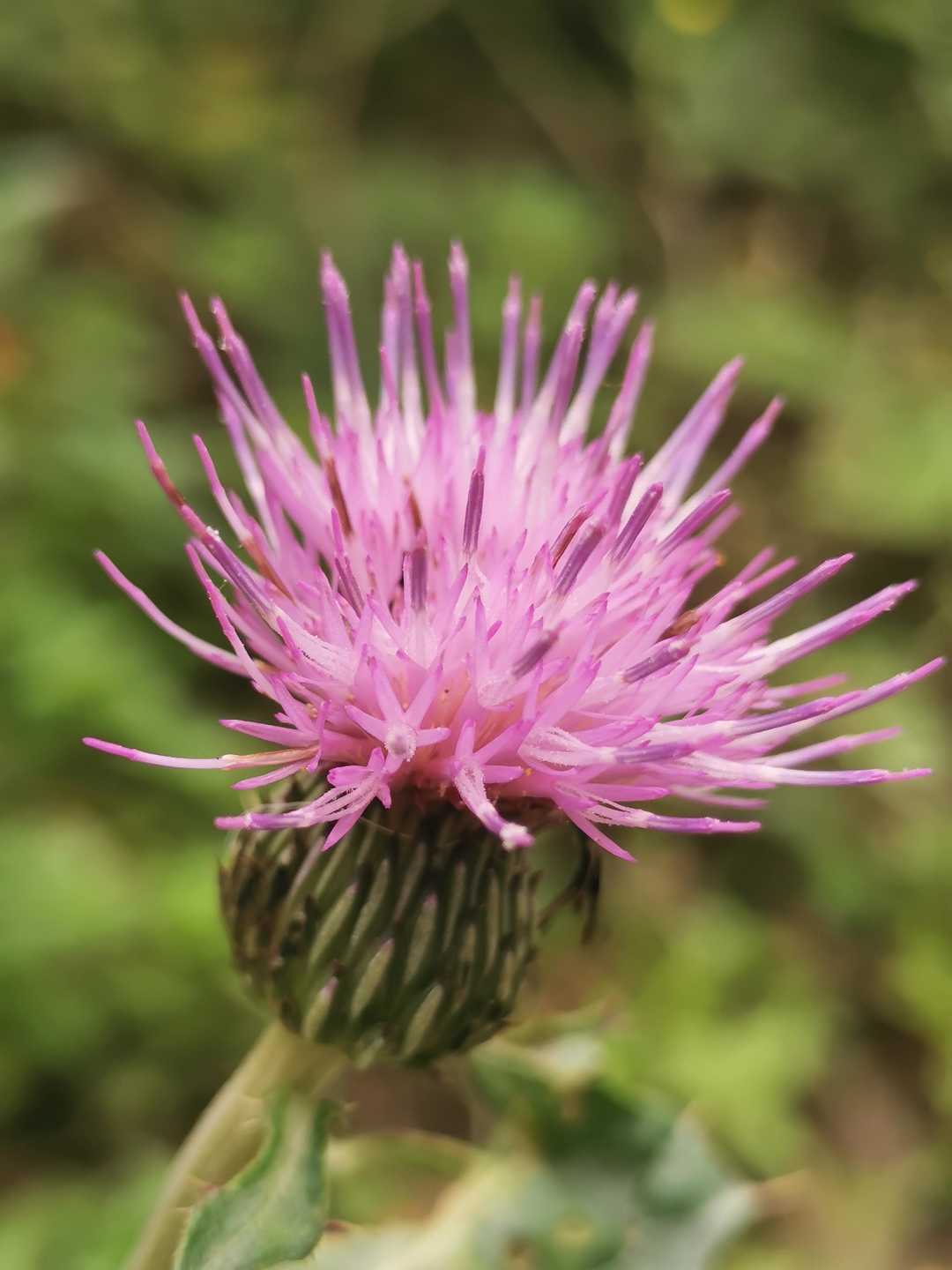 十一月份考驾照哪天日子好,拿驾照选什么日子好