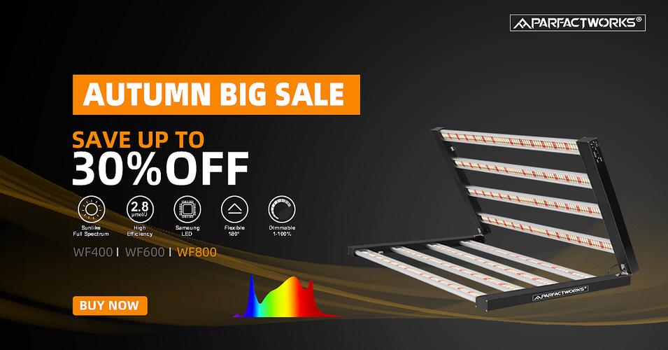 广告流量变现的平台有哪些,广告流量变现平台有哪些