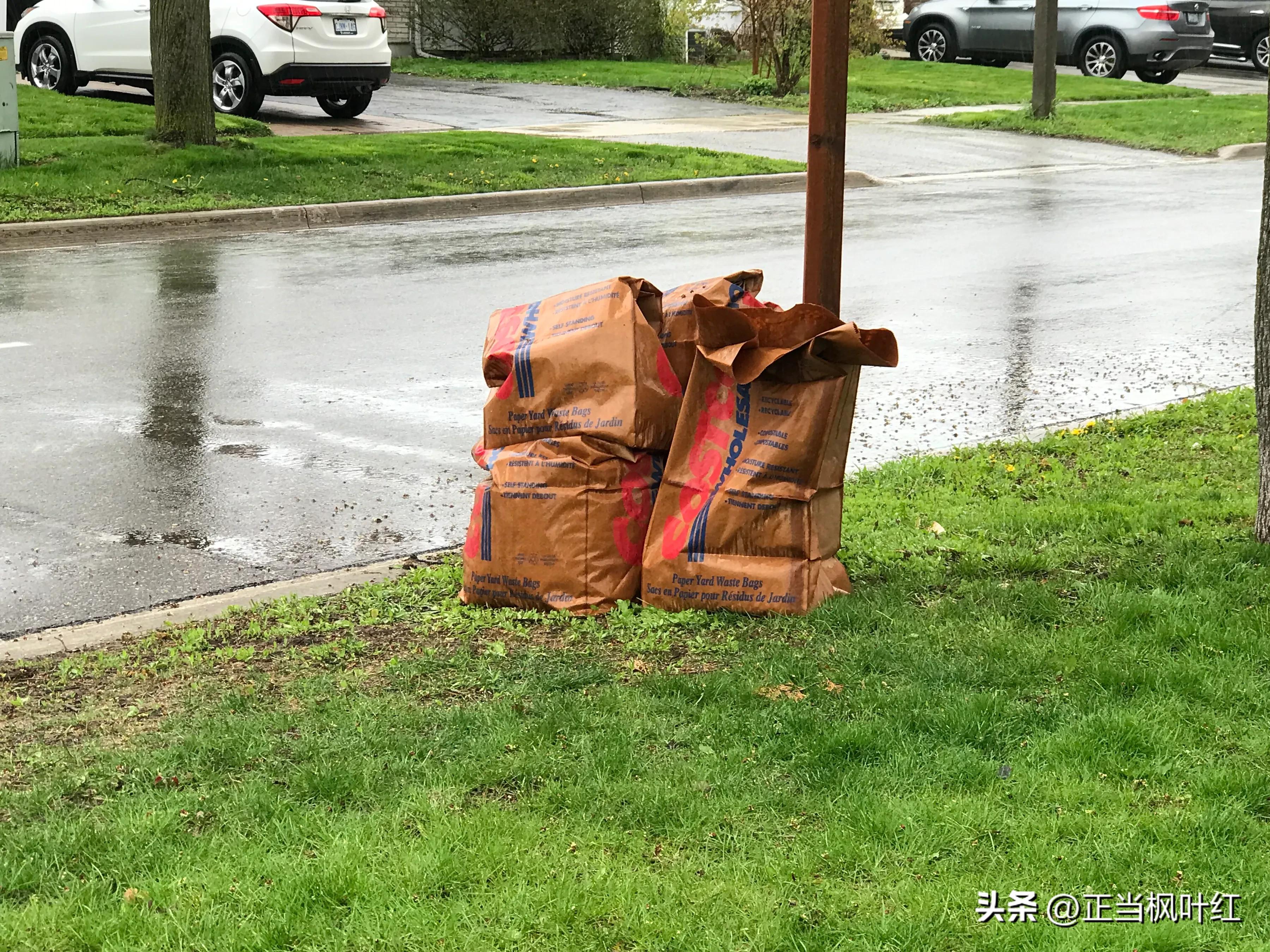 中国姥姥生活视频,中国姥姥在澳洲