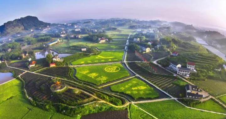 五粮液绵柔尖庄多少钱一瓶,五粮液绵柔尖庄酒价格225ml