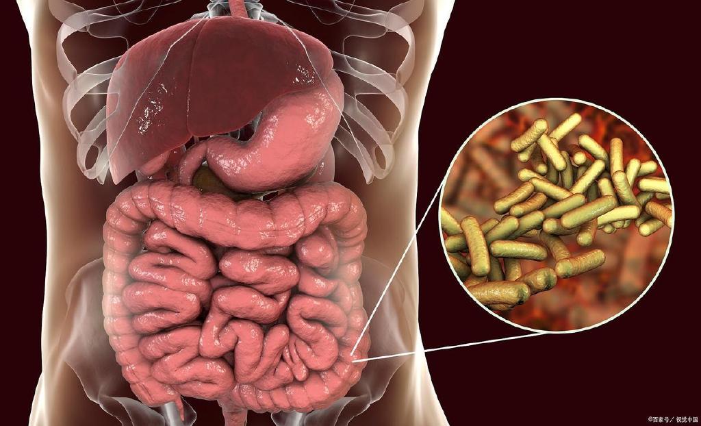 住院病人补充什么益生菌？研究发现乳杆菌显著抑制多重耐药菌定植