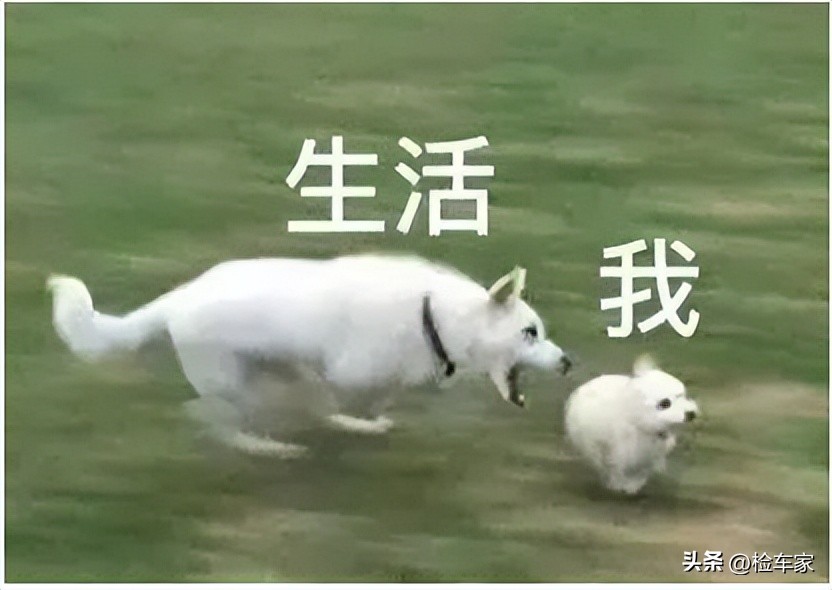 蒙迪欧豪华版二手,蒙迪欧新车味道重