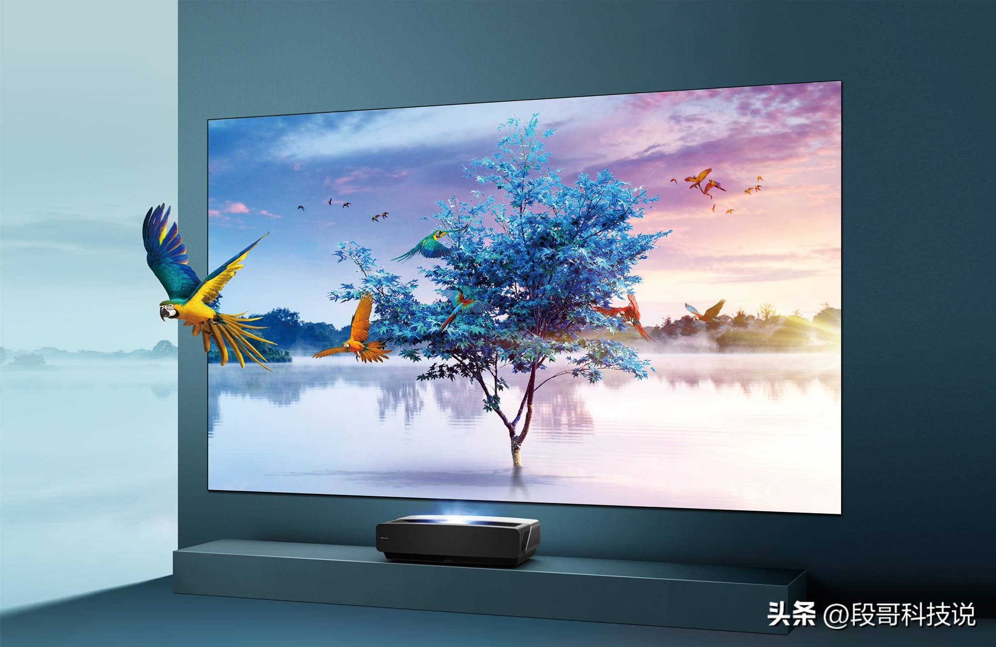 买电视应该怎么选品牌,网购电视尺寸和标准尺寸不同