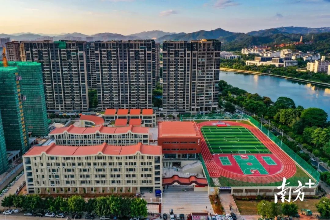 人造草案例,人造草坪广东