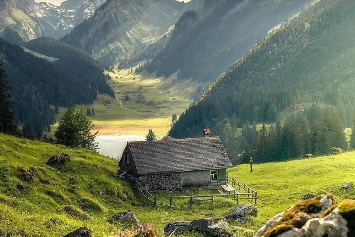 走进静谧的田园生活,田园生活的探索与感悟