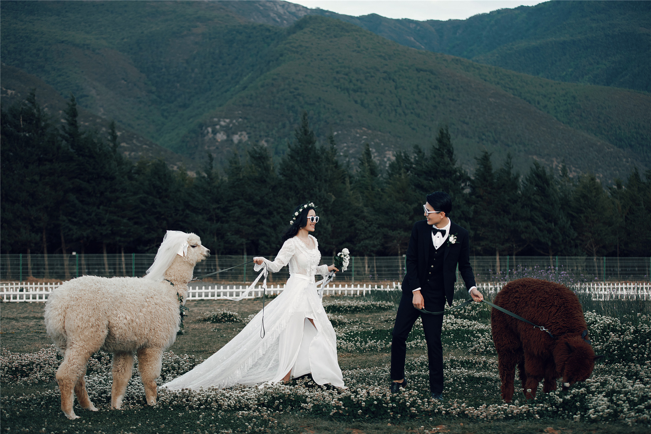 去丽江拍婚纱照选哪里比较好看,丽江婚纱照旅拍推荐哪家好