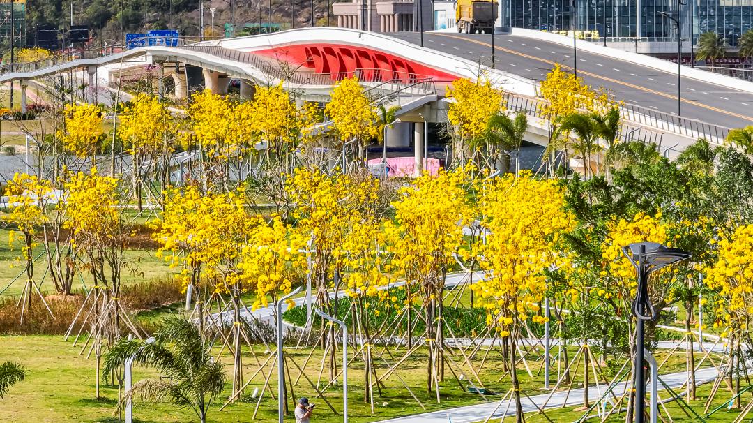 珠海市的主题公园,塞纳河主题公园