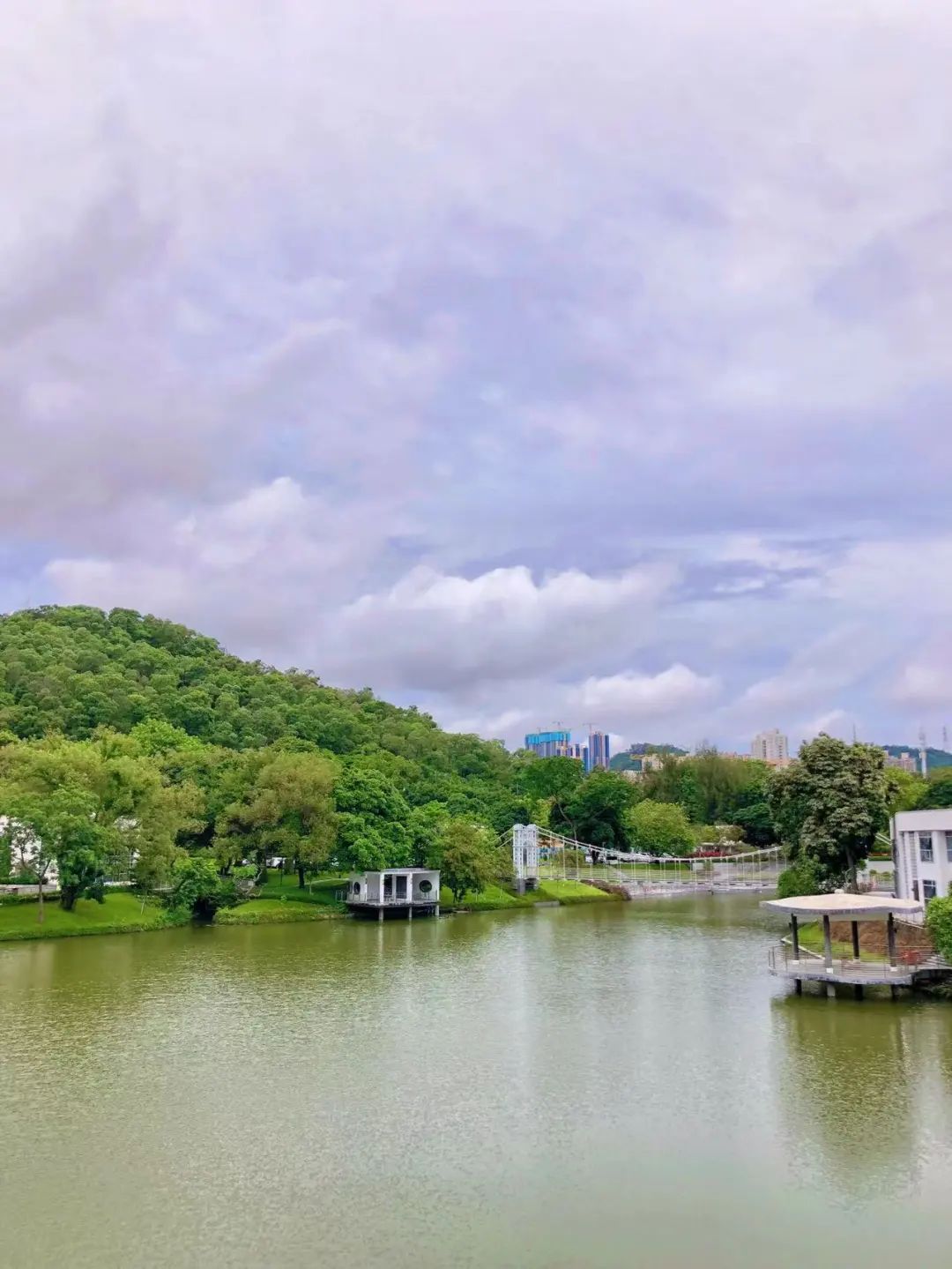 深圳十大最美公园旅游攻略,深圳免费公园景点值得打卡的地方