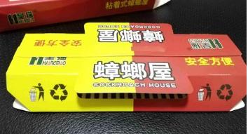 自制蟑螂克星轻松消灭家里蟑螂,蟑螂最怕的消灭方法