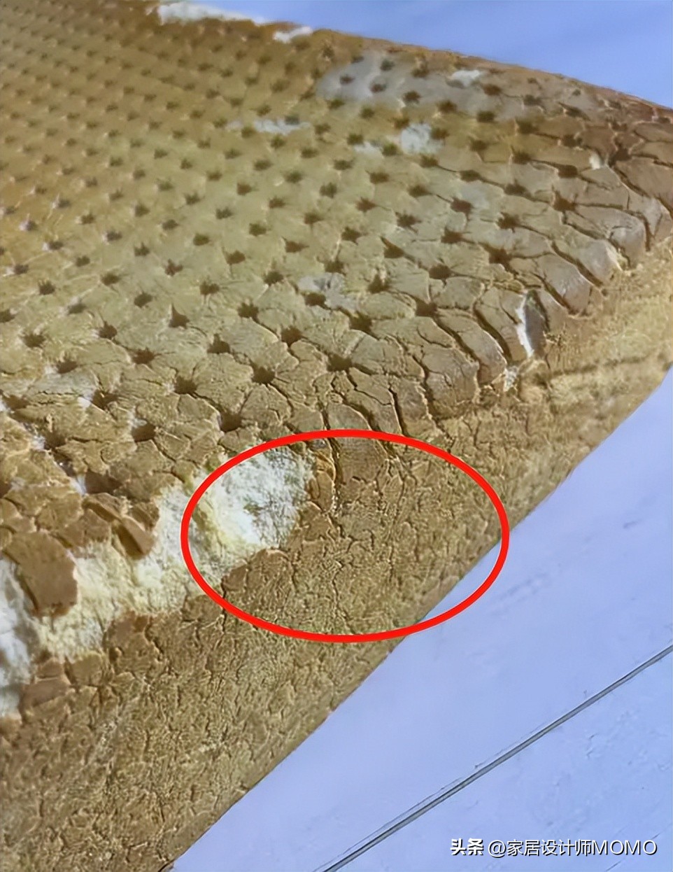 这6种床垫千万不要买,记住这几点选对床垫少踩坑