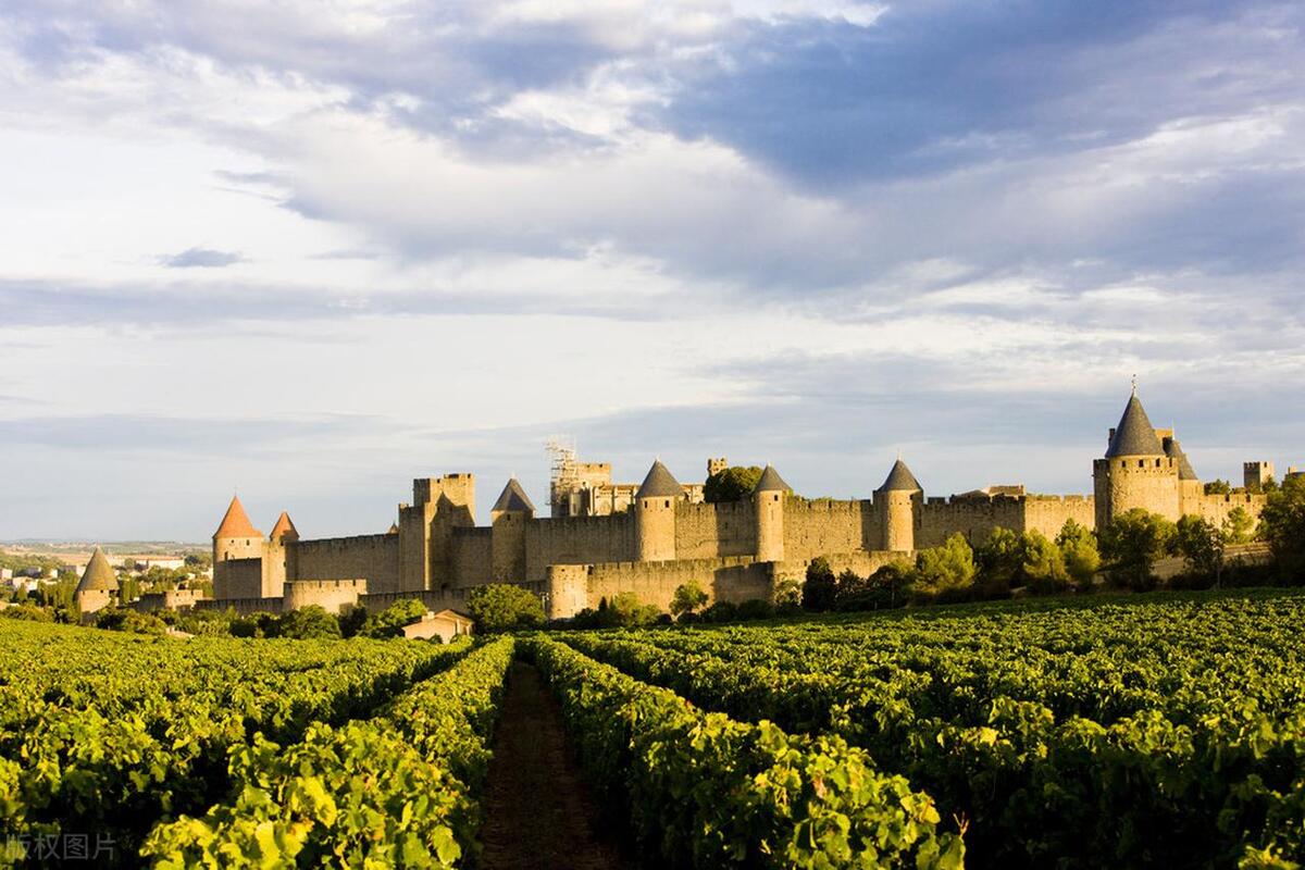 请说出5个法国葡萄酒产区名称,简述中国葡萄酒的主要产区及名品