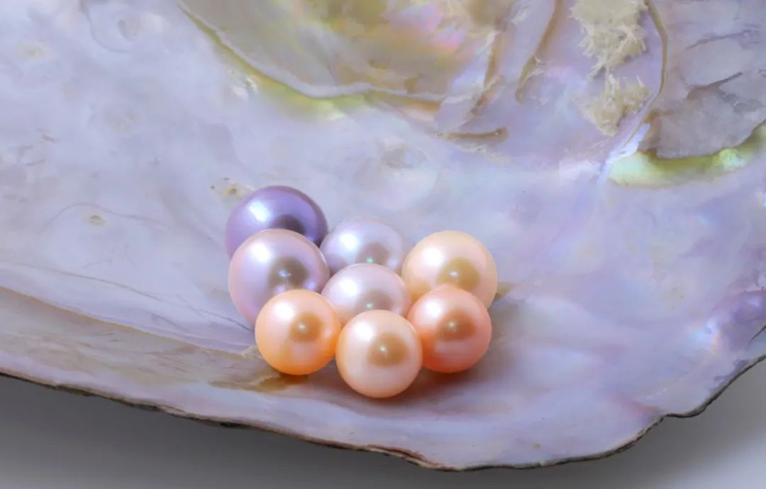 天然淡水珍珠价格,天然淡水珍珠价格一般多少