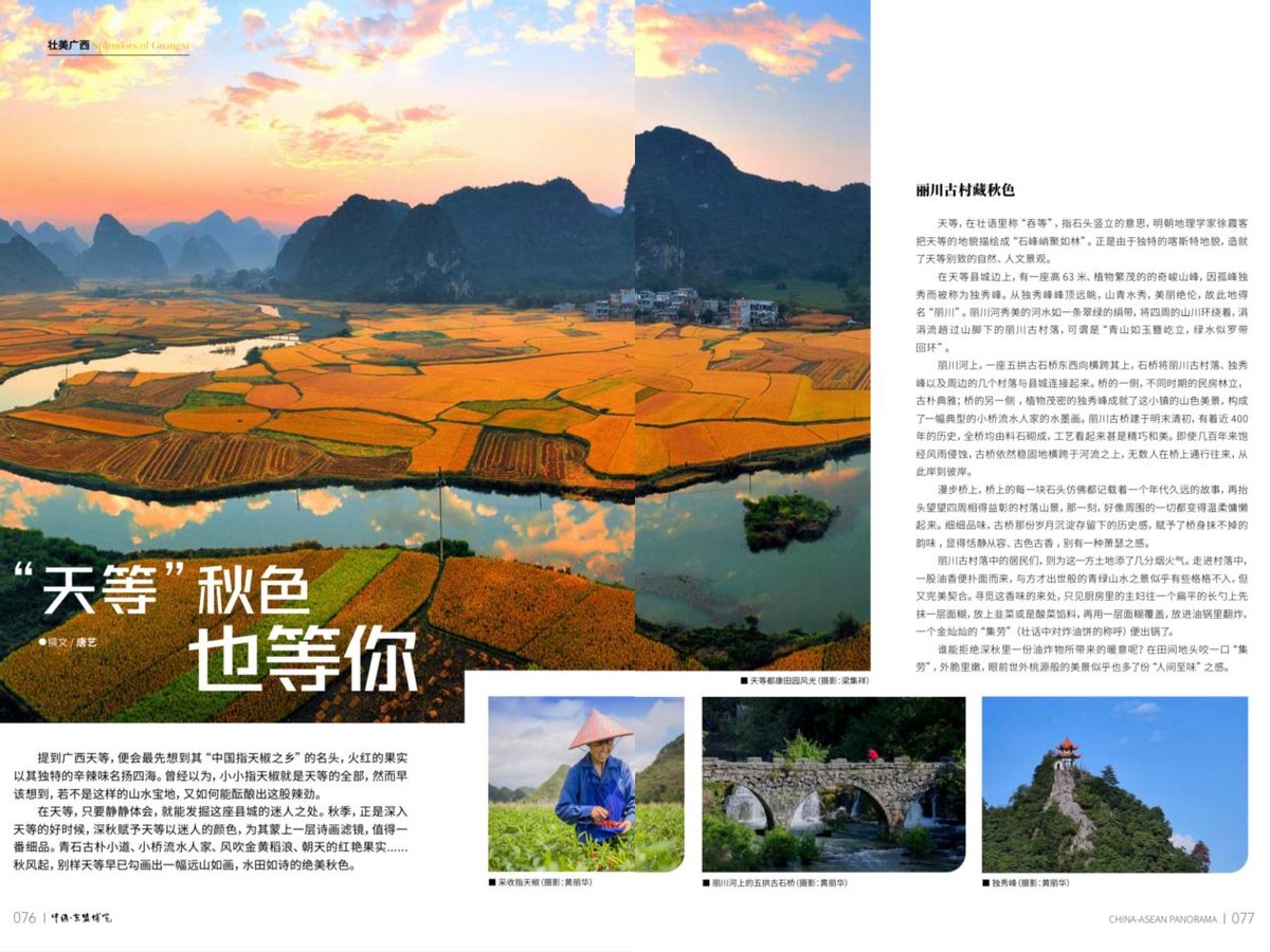 “天等”秋色也等你